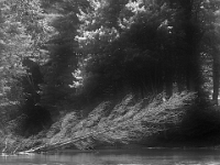 66305CrBwLeUsm - Kayaking the Burnt River from Kinmount to Three Brothers Falls with John - Deb   Each New Day A Miracle  [  Understanding the Bible   |   Poetry   |   Story  ]- by Pete Rhebergen